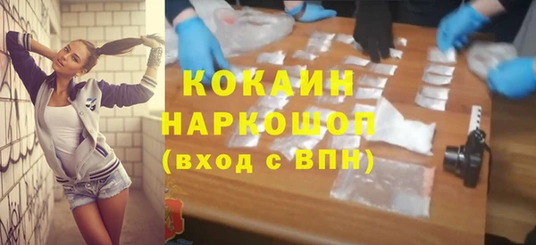 spice Богородск