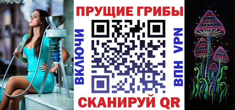Псилоцибиновые грибы Psilocybe  Каспийск 