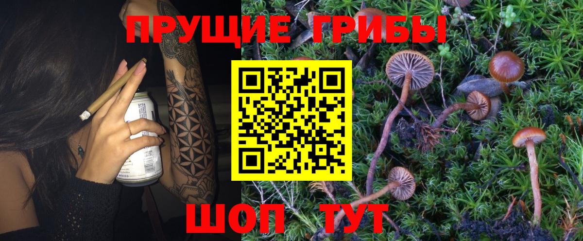 Каспийск  Псилоцибиновые грибы Magic Shrooms  Вход с VPN 